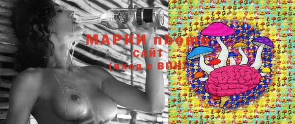 гидропоника Белокуриха