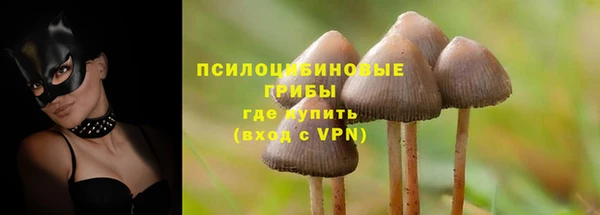 apvp Беломорск