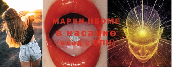гидропоника Белокуриха