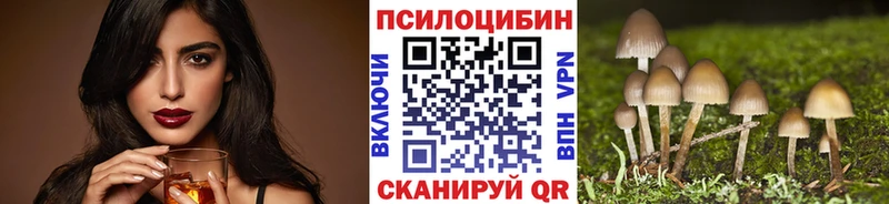 Купить где  Лысково  Псилоцибиновые грибы Magic Shrooms 
