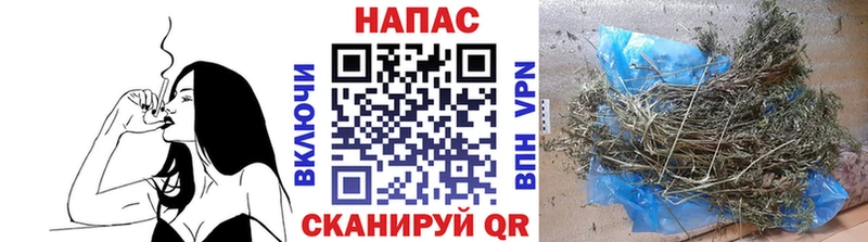 Бошки марихуана сатива  Купить закладки  Лысково 